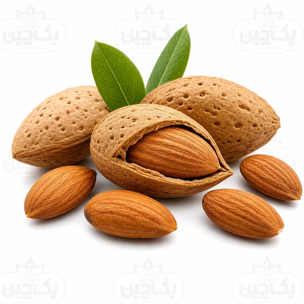 بادام درختی
