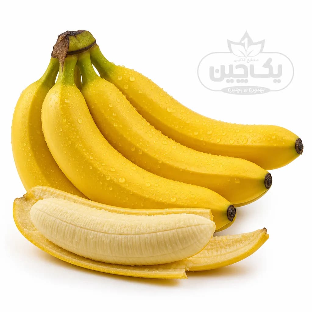 موز اکوادور