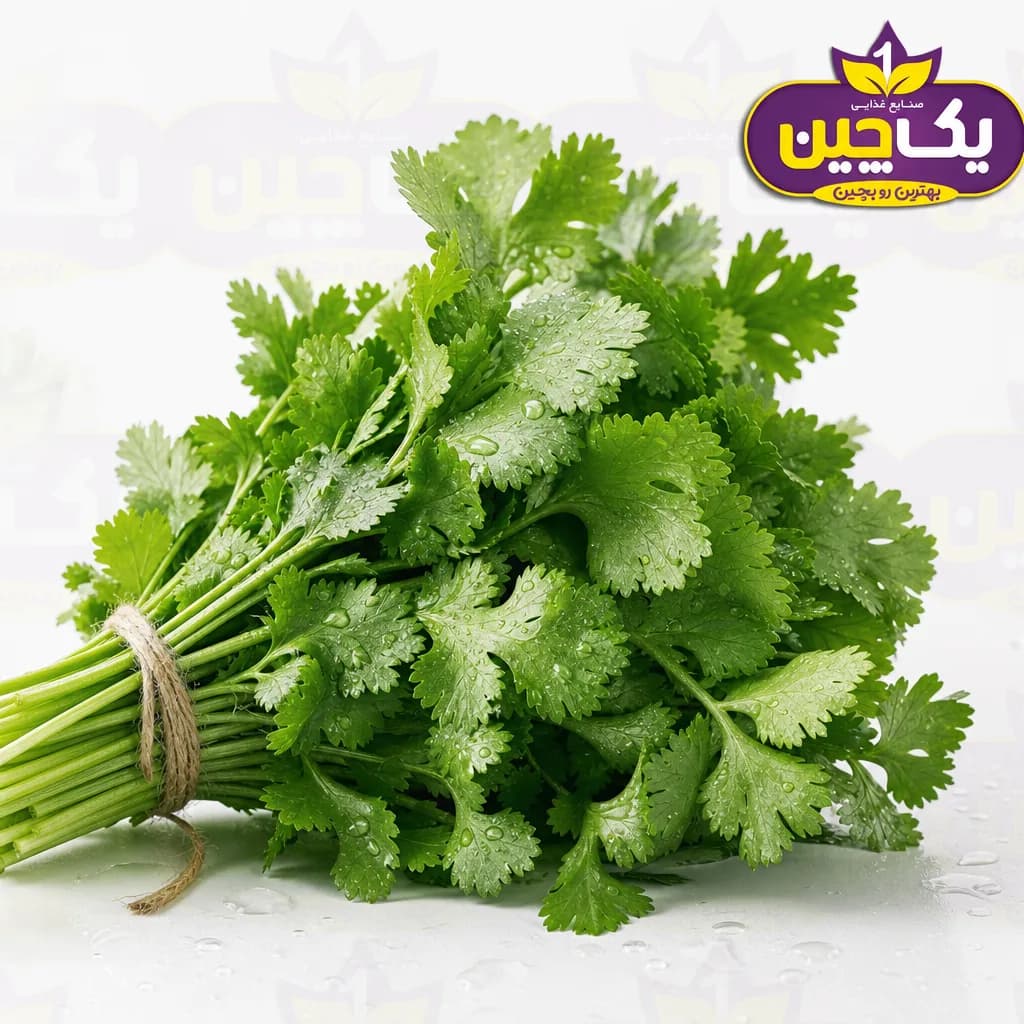 گشنیز