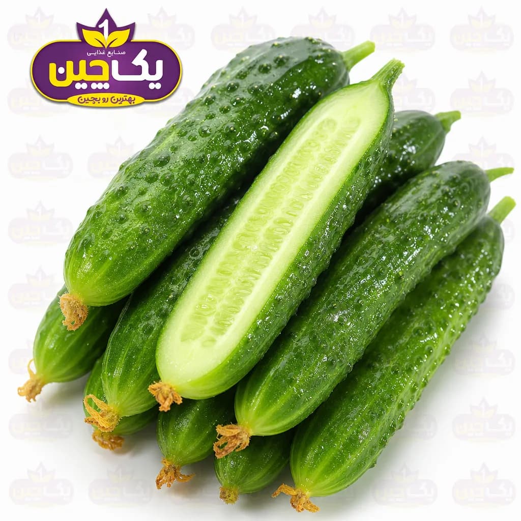 خیار گلخانه‌ای