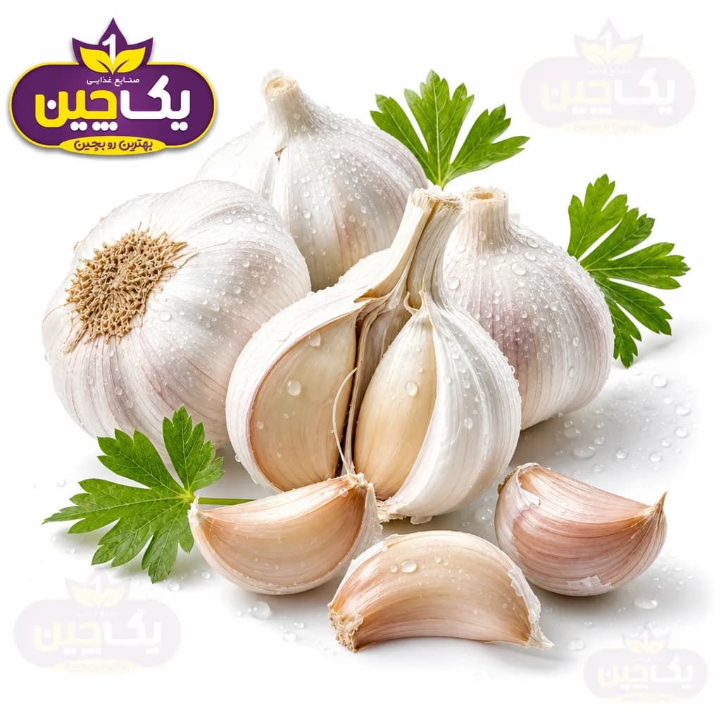 سیر تازه