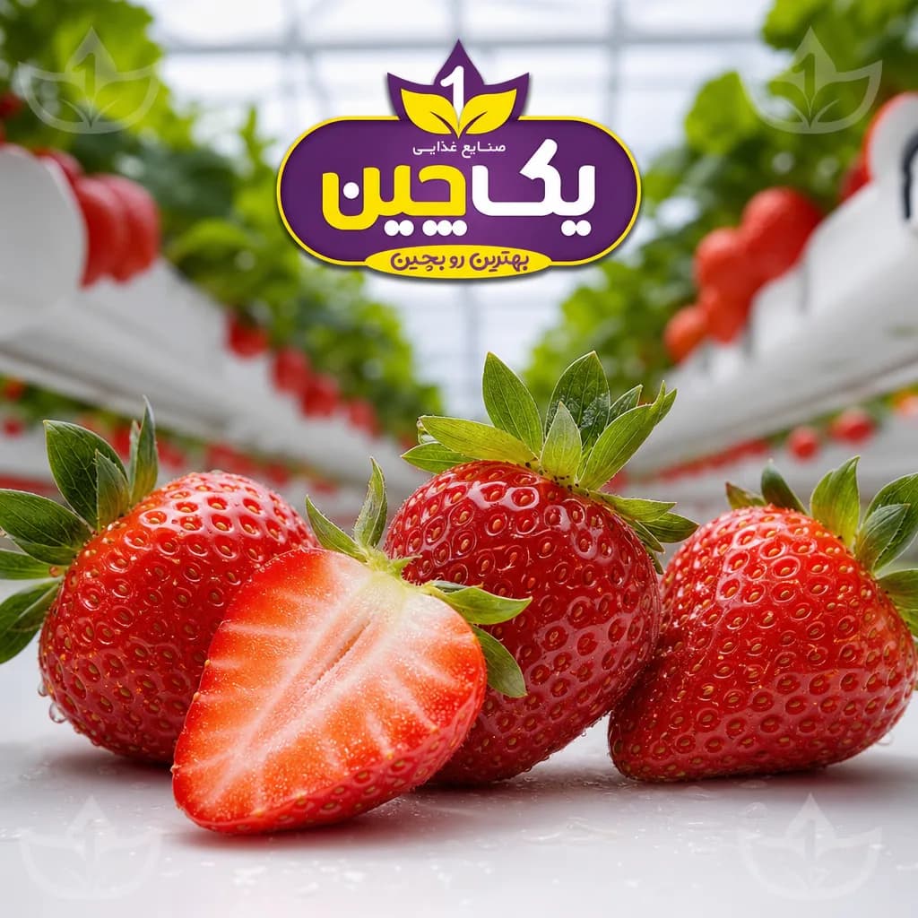 توت‌فرنگی هیدروپونیک