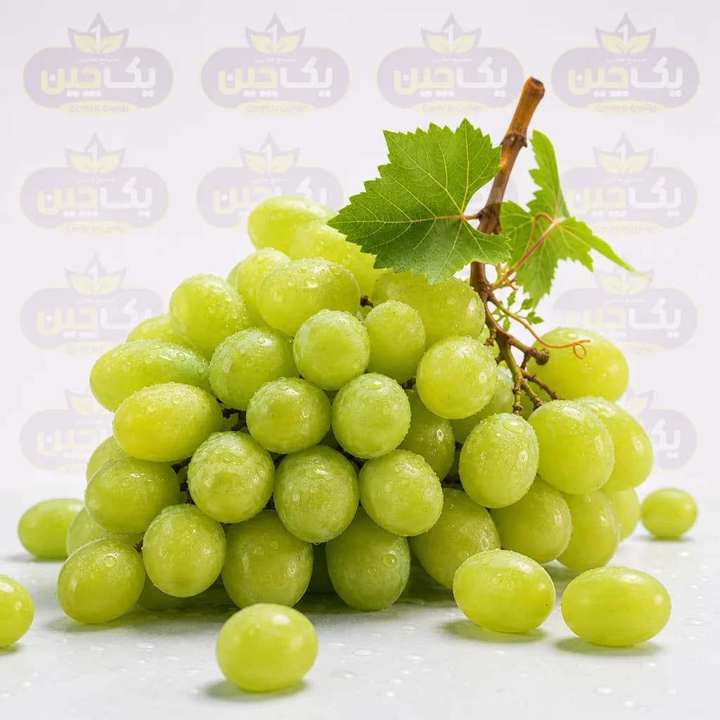 انگور عسکری