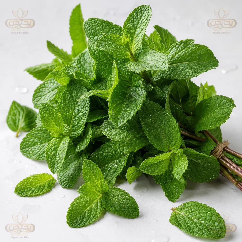 نعناع تازه