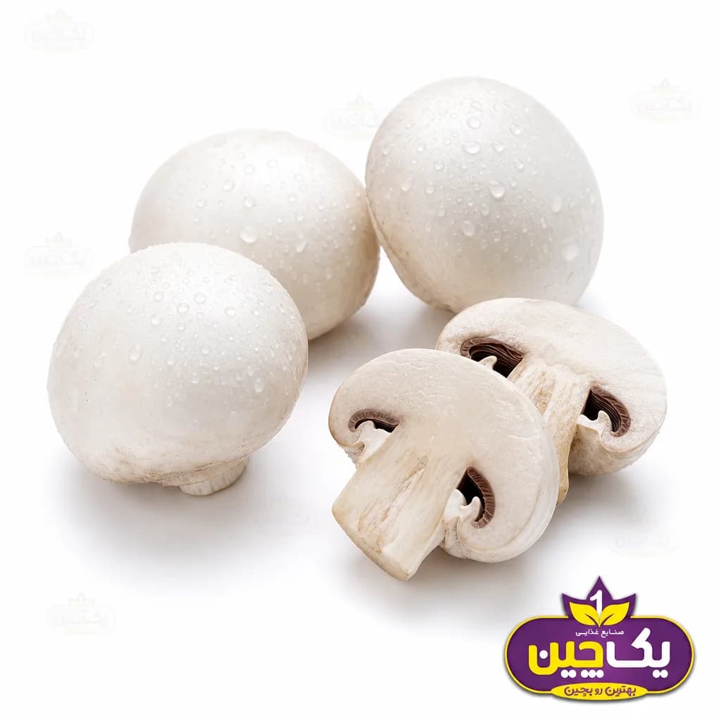 قارچ دکمه‌ای