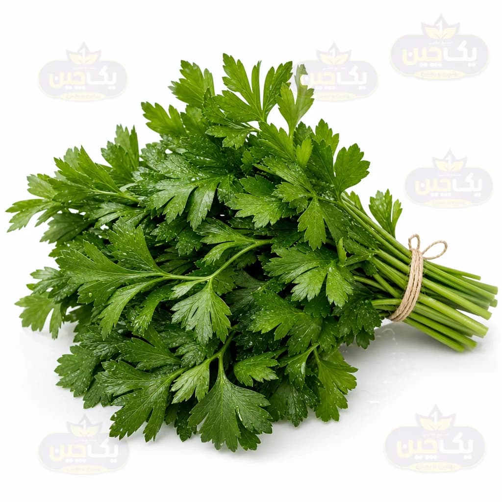 جعفری