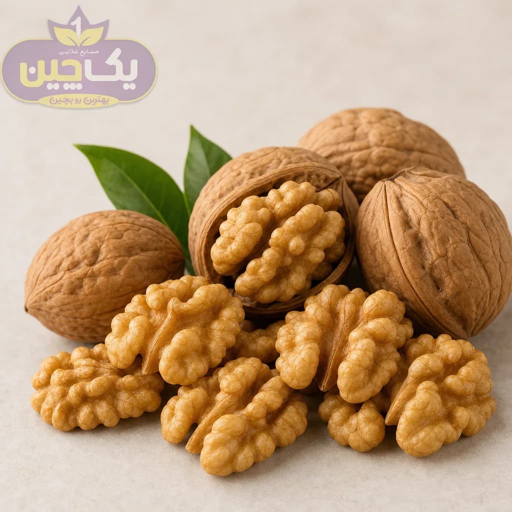 گردو مغز