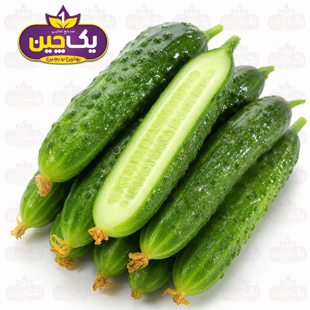 خیار گلخانهای